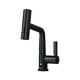 thumbnail image 1 of Grifo mezclador Advancent elevable con pantalla LED de temperatura y extraíble negro, 1 of 6
