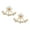 Golden, variant on Grandest Birch Women\'s Flower Zircon Ear Jacket Korean Style Copper Ear Studs Earrings Jewelry Zircon, Copper Silver