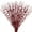 Red, variant on Christmas Glitter Berry Stems,Xmas Tree Picks Curly Sprays,Artificial Twigs Branches Decorations,Sparkle Faux Branches for Festival Winter DIY Crafts,12 Pcs Vase Fillers Decorative Sticks