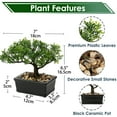 thumbnail image 7 of GnFlus 6 inch Artificial Bonsai Tree Juniper Faux Plants Indoor Small Fake Plants Decor with Ceramic Pots, 7 of 7