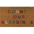 thumbnail image 2 of Novogratz Aloha Collection Count Your Blessings Doormat, Multi, 1'6" x 2'6", Multicolor, 2 of 10