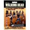 Walking Dead Collectible Figures Mystery Pack Walkers