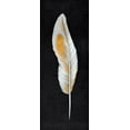 thumbnail image 2 of Atelier B Art Studio 8x14 White Modern Wood Framed Museum Art Print Titled - FEATHER, 2 of 4