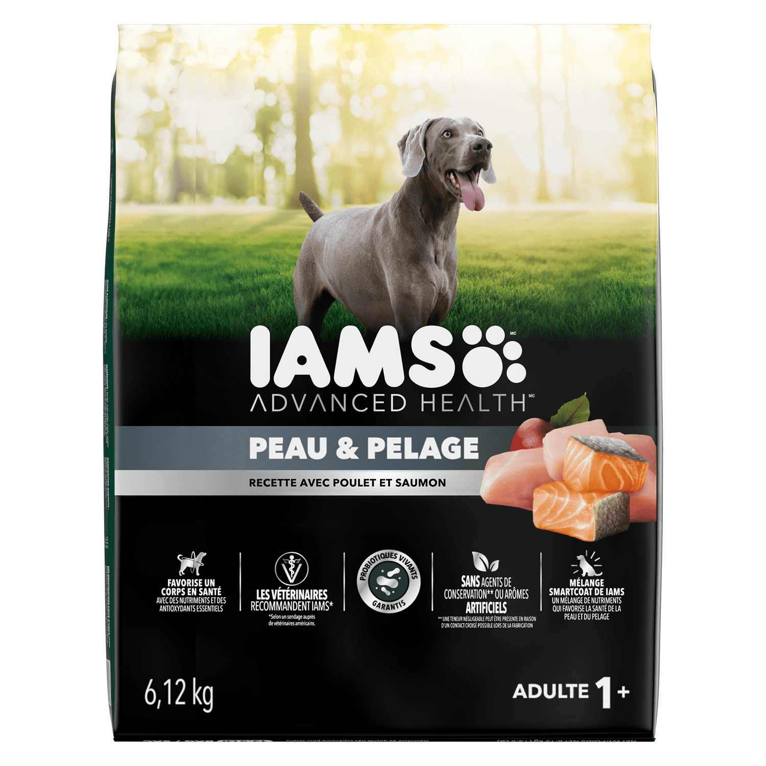 Iams Advanced Health Skin & Coat Chicken & Salmon Adult Dry Dog Food 10kg