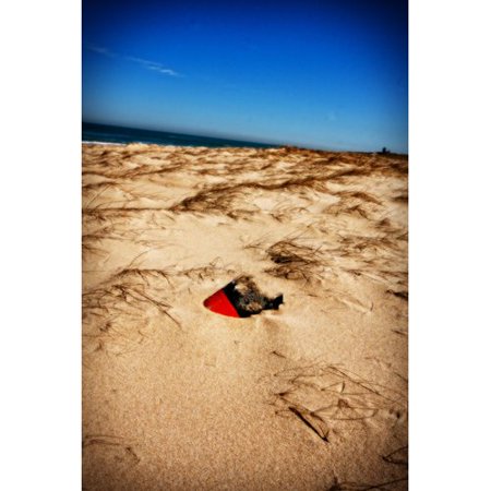 Buy Art For Less Retired Buoy by Jobe Waters Photographic Print on Wrapped Canvas