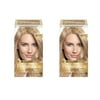 L'Oreal Paris Superior Preference 8.5A Champagne Blonde Fade-Defying Color + Shine System, 2 Pack