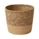 thumbnail image 1 of Jarrón, florero, macetas, cubierta, cesta de almacenamiento, planta, cesta tejida, maceta, maceta de paja, una cesta, 1 of 2