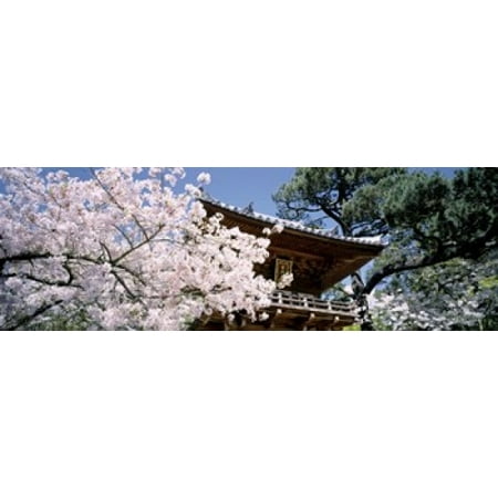 Tea Garden Golden Gate Park - USA California San Francisco Golden Gate Park Japanese Tea Garden front gate Poster Print