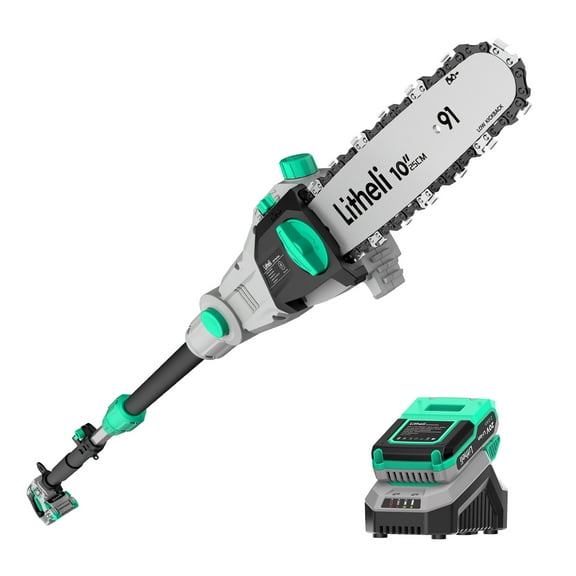 Litheli Cordless Pole Saw 10-Inch, 20V Battery-Powered Pole Saws for Tree Trimming, Tree Trimmer for Branch Cutting, Trimming, Pruning, with 2.0Ah Battery & Charger