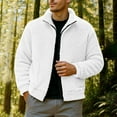 thumbnail image 2 of Men's Fuzzy Sherpa Jacket Long Sleeve Fleece Zip Up Coat with Lapels Plush Winter Outwear Warm Cardigan, 2 of 7