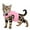 Pink, variant on MoNiBloom Cat Harness for Walking, Escape Proof Soft Adjustable Kitten Vest Harnesses for Pet Cats, Easy Control Mesh Breathable, Pink S
