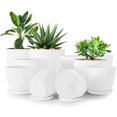 thumbnail image 1 of Macetas Utopia Home para interiores con drenaje, paquete de 10 unidades, color blanco, 1 of 6