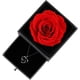 thumbnail image 2 of Caja de regalo de rosa real preservada Rosa real encantada con collar I Love You Regalo en 100 idiomas, flor de rosa eterna Regalo de rosa preservada hecha a mano para ella (remolino de amor plateado) MFZFUKR WMZL-843-2, 2 of 7
