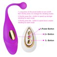 thumbnail image 2 of Wireless Egg Shaped Remote Control Vibrator, 2 of 3
