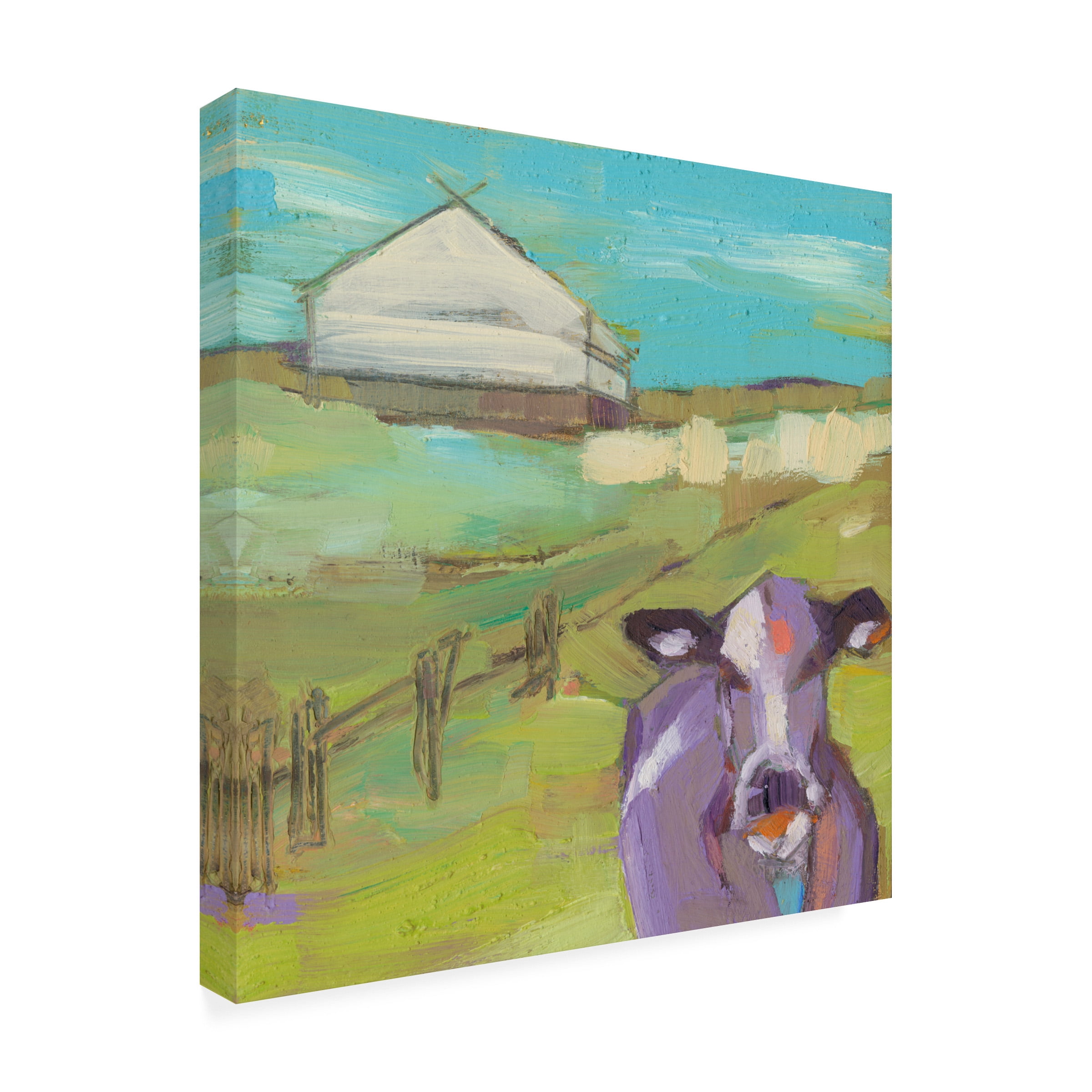 Sue Jachimiec 'Castom' Canvas Art