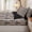 Taupe Sapphire, variant on Homewish Light Gray Damask Floral Zipper Queen Comforter Set with Fitted Sheet and 2 Pillowcases,Antique Ornate Baroque Neutral Zipper Bedding Set For Adults,Light Gray Reversible,4-Piece