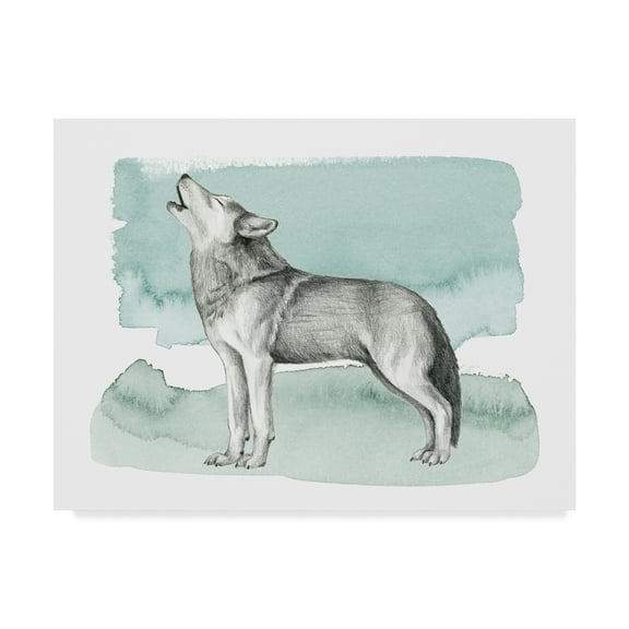 Trademark Fine Art 'Animal I' Canvas Art by Grace Popp