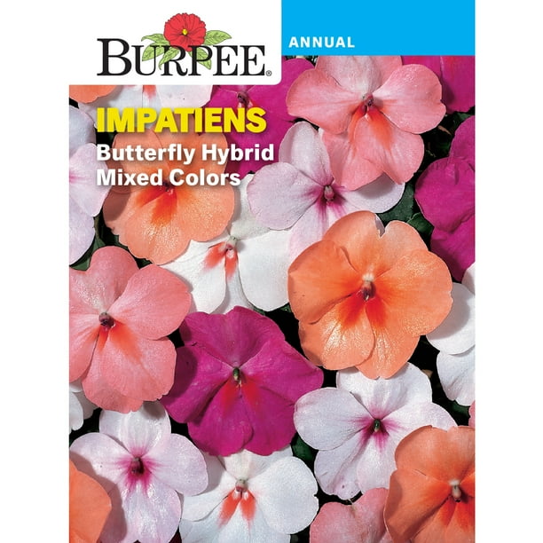 Burpee Butterfly Hybrid Mixed Colors Impatiens Flower Seed, 1pack