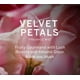thumbnail image 5 of Victoria's Secret Fragrance Mist Collection Mini set de regalo de 4 piezas, aromas variados, 5 of 5