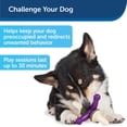 thumbnail image 4 of Juguete masticable PetSafe Busy Buddy Jack para perros medianos, 4 of 7