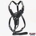 thumbnail image 2 of HILASON Heavy Duty Genuine Leather Dog Harness Padded Black Large, 2 of 5