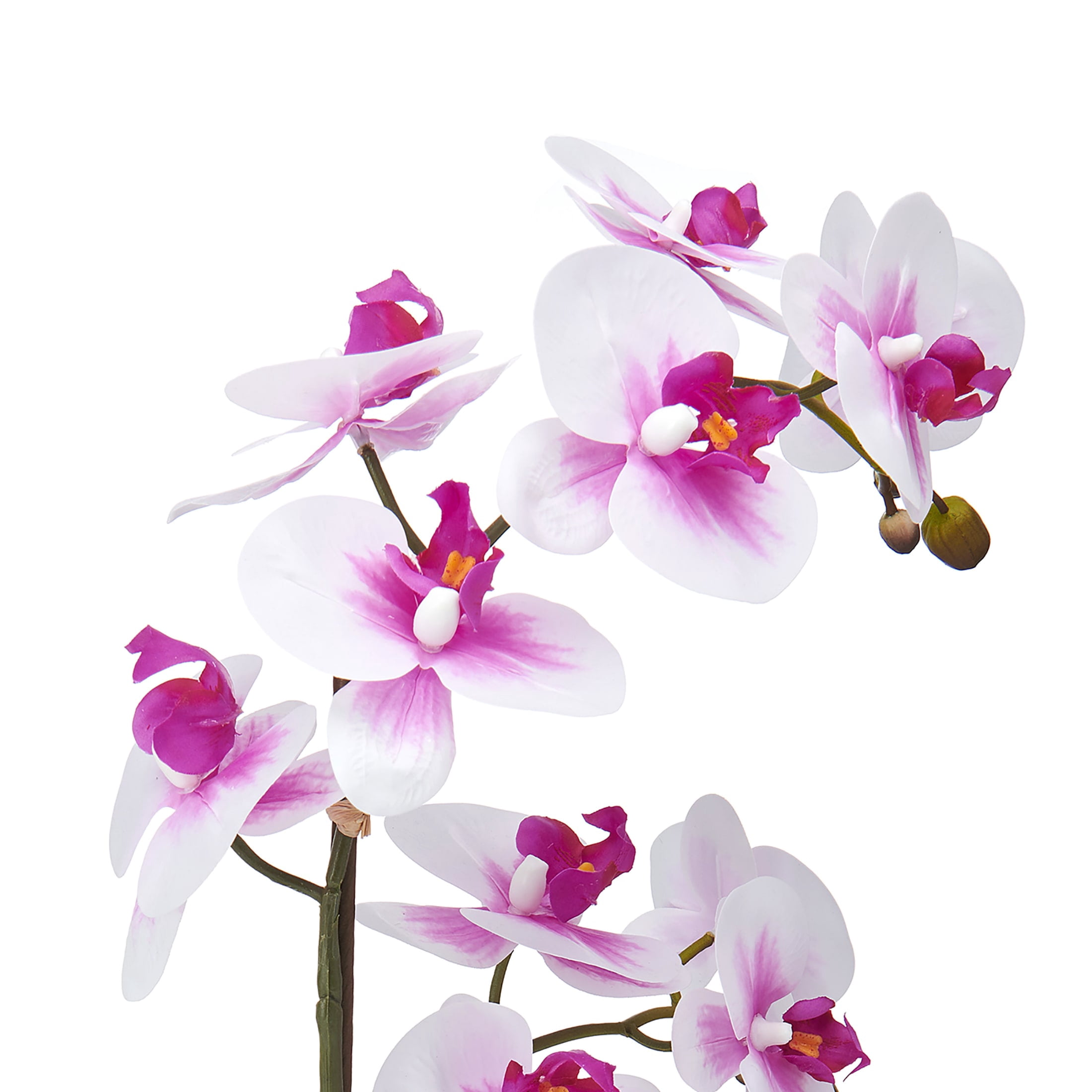 Home Accents 22-inch Artificial Real Touch Phalaenopsis Orchid in Cement Pot, White/Fuchsia