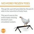 thumbnail image 4 of KH Pet Products Thermo-Chicken Perch Gray 26 x 14 x 8 40-Watt, 4 of 8