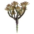 thumbnail image 2 of Planta suculenta de simulación de plástico Echeveria Decoración floral para el hogar 10 1 Pieza 9 x 8cm Púrpura, 2 of 8