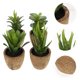 thumbnail image 4 of 4 unids Simulación Planta Decoración creativa Artificial Mini Bonsai Home Desktop Decor, 4 of 7