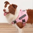 thumbnail image 2 of No-pull Dog Puppy Reflective Harness and 4.5ft Leash with Free 4 PCS Tags/Patches, Easy Control Handle Walking Pet Service Vest for Small Medium Large Dogs,( Pink Harness+ Leash, L ), 2 of 4