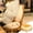 A, variant on HOARBOEG Versatile Polyester Office & Floor Seat Cushion - Multi-Functional Stool Cushions & Backrest Support Pillowfor HomeLong Sitting Comfort