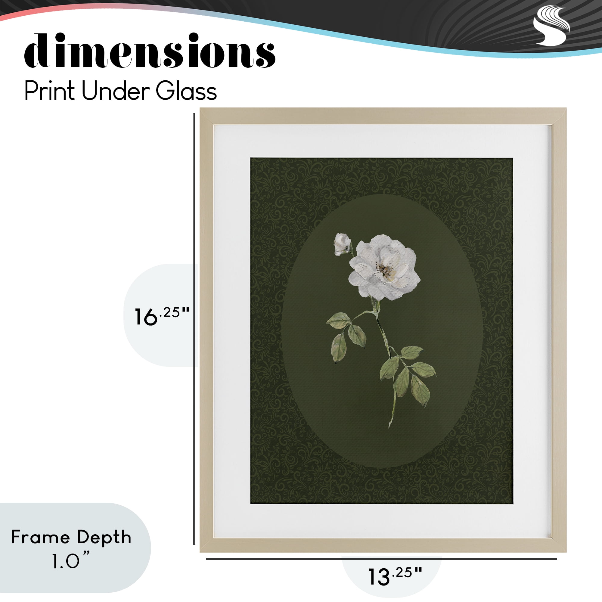 Stupell Industries White Rose on Emerald Birch Framed Print Under Glass, design by Sally Swatland