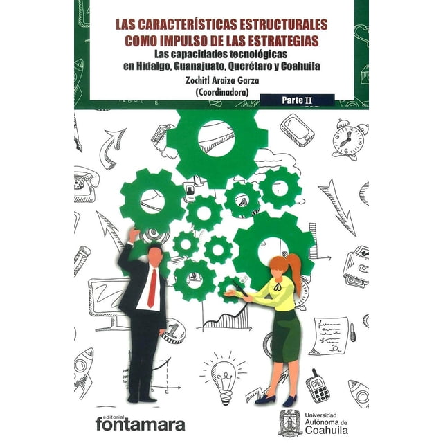 Las características estructurales como impulso de las estrategias parte II