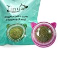 thumbnail image 3 of Pared Con Hierba Gatera Natural Juguete para Limpieza Dientes Comestibles, 3 of 9