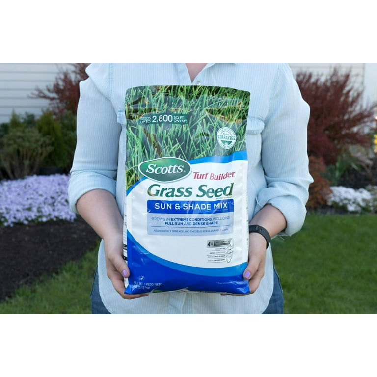 Scotts Turf Builder Grass Seed Kentucky Bluegrass Mix, 43 OFF