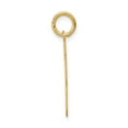thumbnail image 2 of Real 14kt Yellow Gold Medium Satin Number 13 Charm Pendant; for Adults and Teens; for Women and Men, 2 of 4