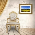 thumbnail image 3 of Hausenflock, Alan 14x11 Gold Ornate Wood Framed with Double Matting Museum Art Print Titled - Big Sky Ranch II, 3 of 4