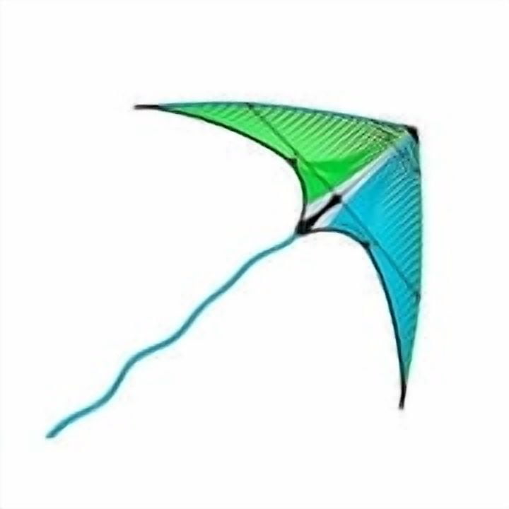 Prism Micron Dual-line Stunt Kite, Purple - Walmart.com
