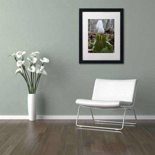 Trademark Fine Art "Bloodroot Wildflower" Canvas Art by Kurt Shaffer, White Matte, Black Frame