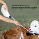 thumbnail image 5 of Terneros Botella De Medicina, Agua de alimentación Medicina Botella de Leche Accesorio Fácil de Limpiar Gran Capacidad con Mango Engrosado Botella de Agua para terneros Animale Jardinería Fugacal no, 5 of 7