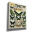 thumbnail image 2 of Epic Graffiti'Papillons 2' by Susan Ball, Giclee Canvas Wall Art, 20"x24", 2 of 8