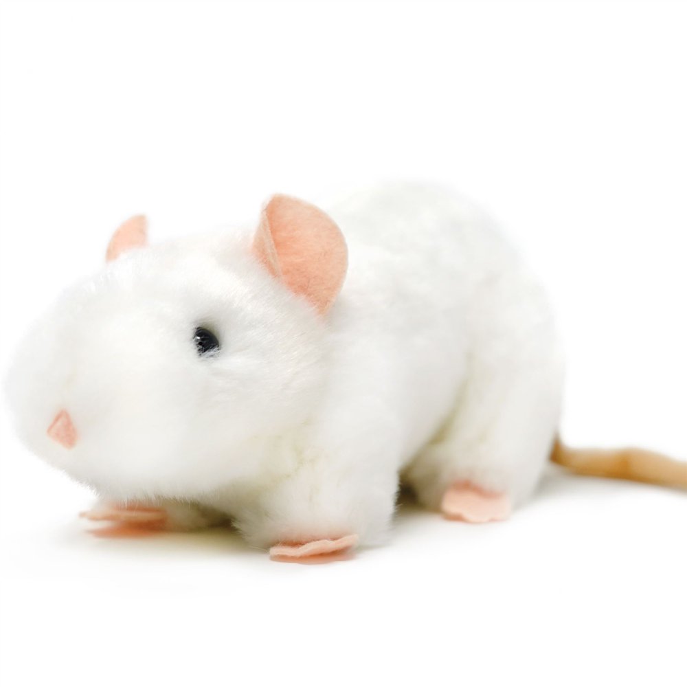 Wylie the White Rat 7 Inch Stuffed Animal Plush By Tiger Tale Toys