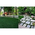 thumbnail image 3 of Dwarf Mondo Grass  1 Large Quart Size Plant  Ophiopogon Japonicus Nanus  Live Shade Loving Evergreen Ground Cover, 3 of 8