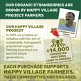 thumbnail image 2 of Happy Village Organic Dried Strawberries, 18 oz Resealable Pack, Soft & Juicy, Kosher, Non-GMO, Apple Juice Infused Strawberry, 2 of 6