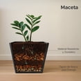 thumbnail image 2 of Maceta Cuadrada Elly Decor Clavel con Drenaje Color Negro 30 x 30 cm, 2 of 6