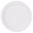 thumbnail image 3 of Red and White Check Disposable Paper Plates, 7", 8 Count, Patriotic by Way To Celebrate, 3 of 4