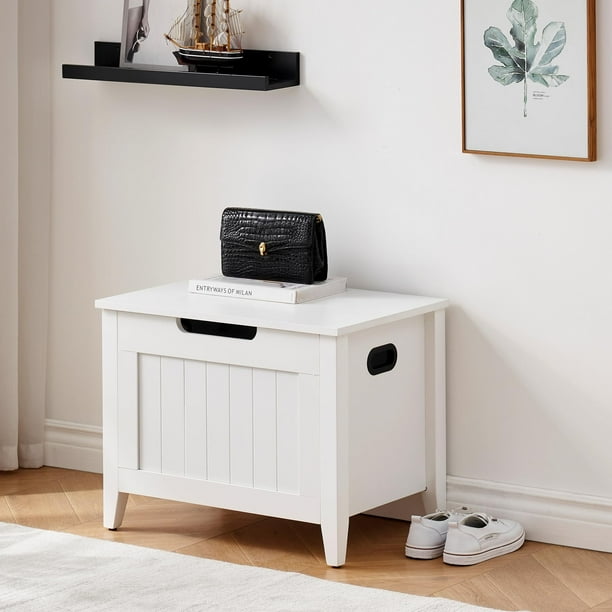 DSstyles Flip-Top Storage Bench & Shoe Bench with Safety Hinges