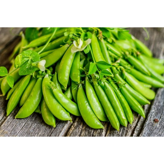 50 Sugar Daddy Snow Pea Seeds