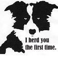 thumbnail image 3 of CafePress - Border Collie Herd You T Shirt - Men's Classic Graphic T-Shirt, 3 of 4