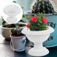 thumbnail image 1 of DEEPCRAFF Maceta Decorativa Vintage Estilo Romano Para Casa Con Y, 1 of 8